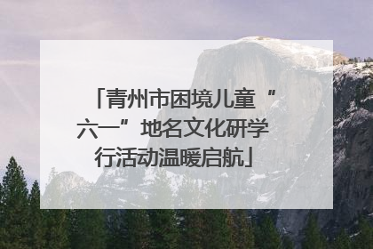 青州市困境儿童“六一”地名文化研学行活动温暖启航