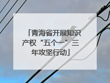 青海省开展知识产权“五个一”三年攻坚行动