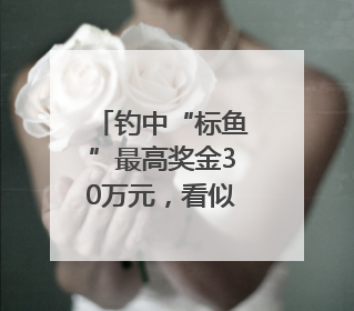 钓中“标鱼”最高奖金30万元，看似钓鱼竞技场，实则以高额“回报”作“饵”……｜今晚九点半
