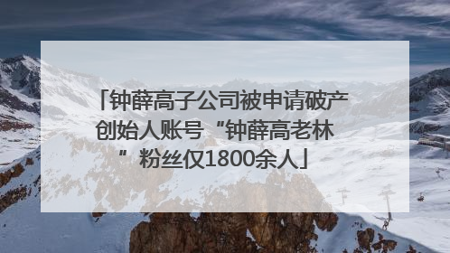 钟薛高子公司被申请破产 创始人账号“钟薛高老林”粉丝仅1800余人