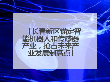 长春新区锚定智能机器人和传感器产业，抢占未来产业发展制高点