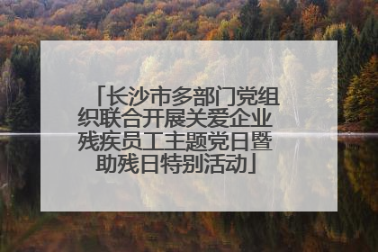 长沙市多部门党组织联合开展关爱企业残疾员工主题党日暨助残日特别活动