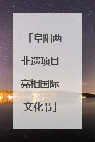 阜阳两非遗项目亮相国际文化节