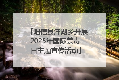 阳信县洋湖乡开展2025年国际禁毒日主题宣传活动