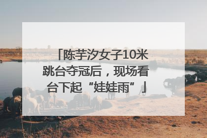 陈芋汐女子10米跳台夺冠后，现场看台下起“娃娃雨”