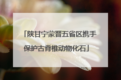 陕甘宁蒙晋五省区携手保护古脊椎动物化石