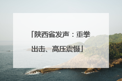 陕西省发声：重拳出击、高压震慑