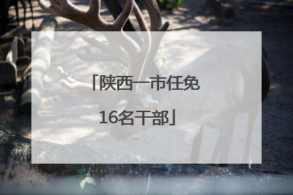 陕西一市任免16名干部