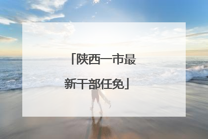 陕西一市最新干部任免