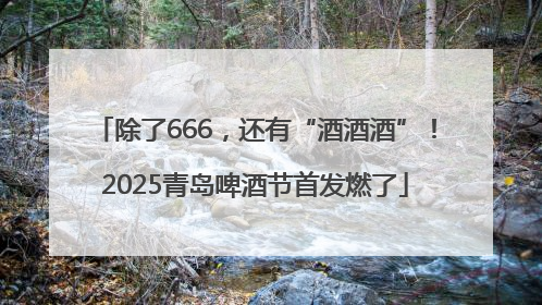 除了666，还有“酒酒酒”！2025青岛啤酒节首发燃了