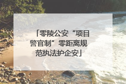 零陵公安“项目警官制”零距离规范执法护企安