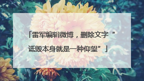 雷军编辑微博，删除文字“诋毁本身就是一种仰望”