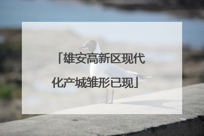 雄安高新区现代化产城雏形已现