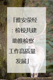 雅安荥经：检校共建 助推检察工作高质量发展