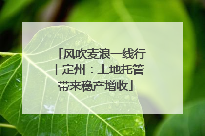 风吹麦浪一线行丨定州：土地托管带来稳产增收
