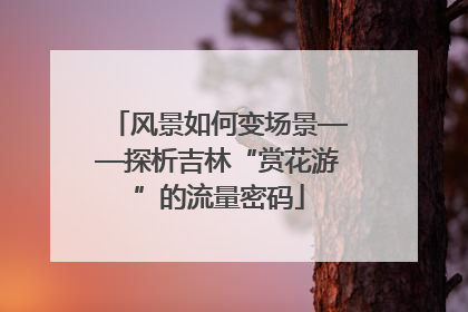 风景如何变场景——探析吉林“赏花游”的流量密码