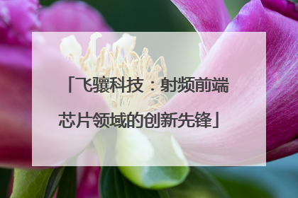 飞骧科技：射频前端芯片领域的创新先锋