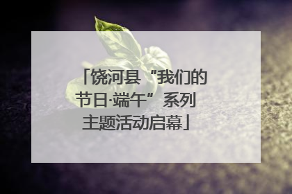 饶河县“我们的节日·端午”系列主题活动启幕