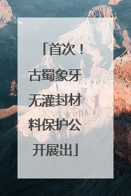 首次！古蜀象牙无灌封材料保护公开展出