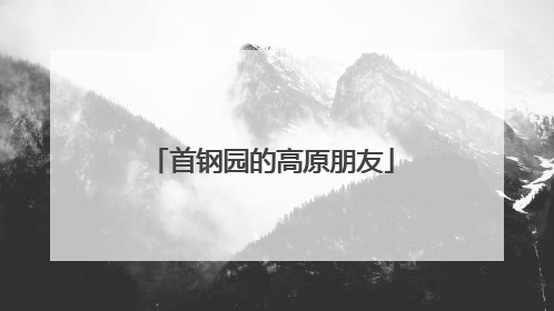 首钢园的高原朋友