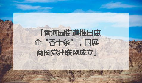 香河园街道推出惠企“香十条”，国展商圈党建联盟成立