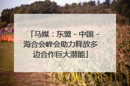马媒：东盟－中国－海合会峰会助力释放多边合作巨大潜能