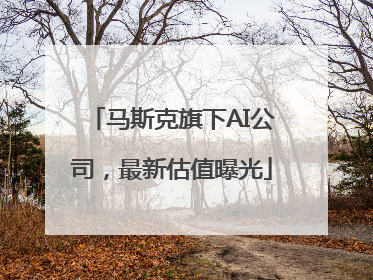 马斯克旗下AI公司，最新估值曝光