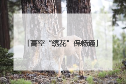高空“绣花”保畅通