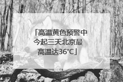 高温黄色预警中 今起三天北京最高温达36℃
