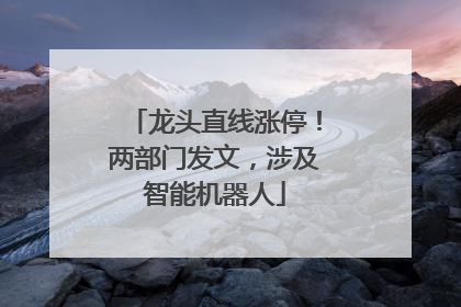 龙头直线涨停！两部门发文，涉及智能机器人