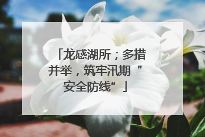 龙感湖所；多措并举，筑牢汛期“安全防线”
