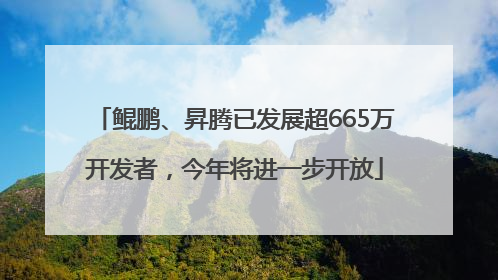 鲲鹏、昇腾已发展超665万开发者，今年将进一步开放
