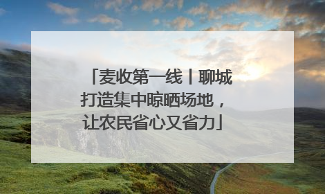麦收第一线丨聊城打造集中晾晒场地，让农民省心又省力