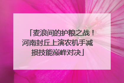 麦浪间的护粮之战！河南封丘上演农机手减损技能巅峰对决