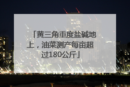 黄三角重度盐碱地上，油菜测产每亩超过180公斤