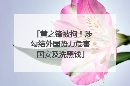 黄之锋被拘！涉勾结外国势力危害国安及洗黑钱