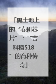 黑土地上的“春耕芯片”：“吉科稻518”的育种传奇