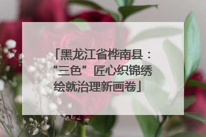 黑龙江省桦南县：“三色”匠心织锦绣 绘就治理新画卷
