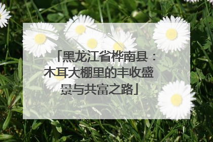 黑龙江省桦南县：木耳大棚里的丰收盛景与共富之路