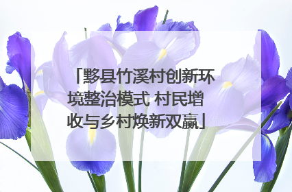 黟县竹溪村创新环境整治模式 村民增收与乡村焕新双赢