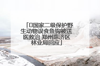 ﻿国家二级保护野生动物误食鱼钩被送医救治 郑州惠济区林业局回应