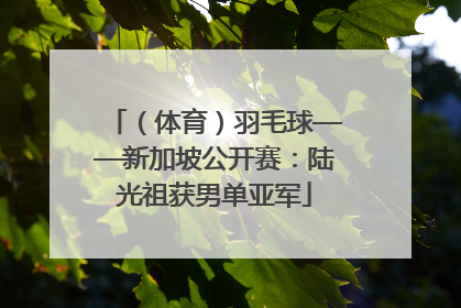 （体育）羽毛球——新加坡公开赛：陆光祖获男单亚军
