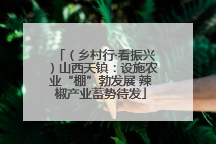 （乡村行·看振兴）山西天镇：设施农业“棚”勃发展 辣椒产业蓄势待发