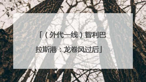 （外代一线）智利巴拉斯港：龙卷风过后