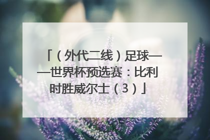 （外代二线）足球——世界杯预选赛：比利时胜威尔士（3）