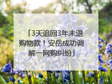 3天追回3年未退购物款！安岳成功调解一网购纠纷