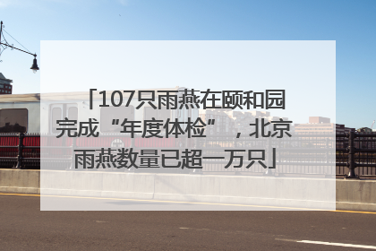 107只雨燕在颐和园完成“年度体检”，北京雨燕数量已超一万只