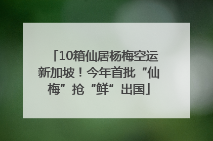 10箱仙居杨梅空运新加坡！今年首批“仙梅”抢“鲜”出国