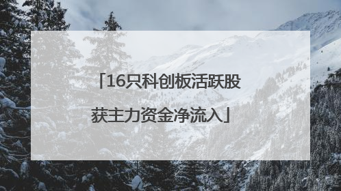 16只科创板活跃股获主力资金净流入