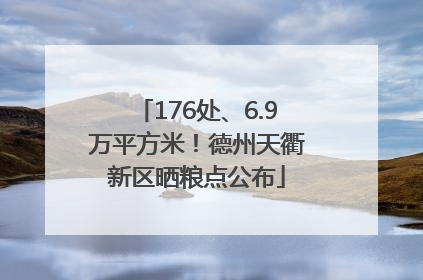 176处、6.9万平方米！德州天衢新区晒粮点公布